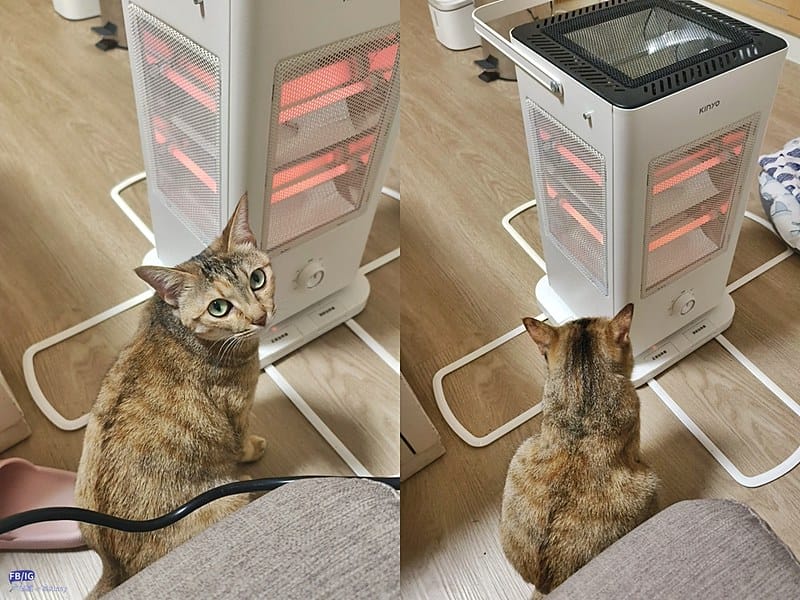 【KINYO】1500W直立式電暖器/電暖爐/石英速暖/五面發熱/安靜