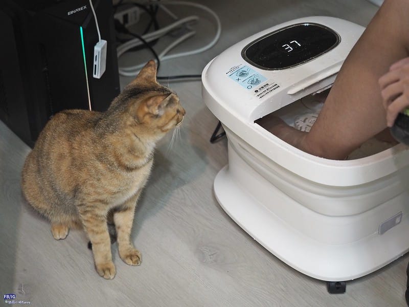 OLYMPUS DIG【日本AWSON歐森】摺疊式中桶健康泡腳機