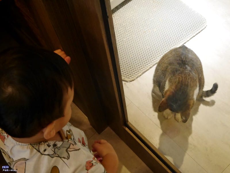 台南柳營｜牛予物輕食餐廳（溫體牛火鍋、牛肉湯）