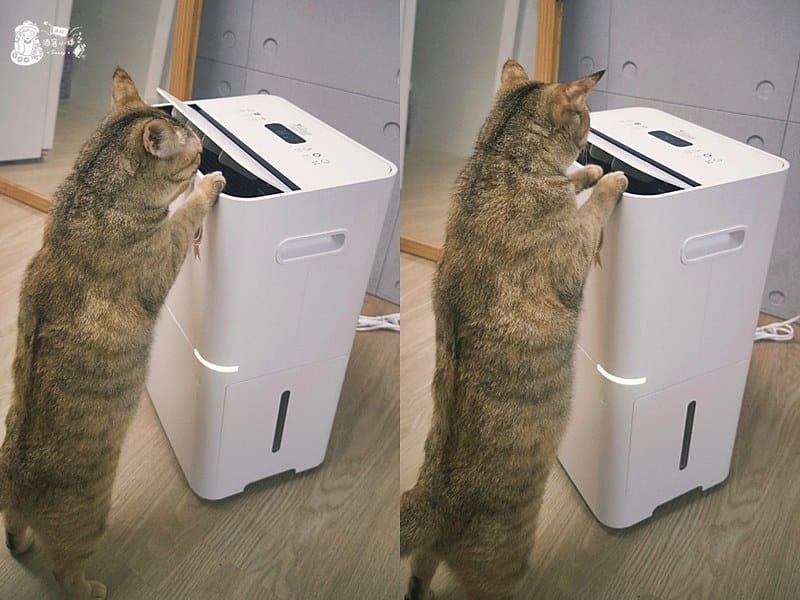 開箱｜ only小午郎 HEPA空氣清淨除濕機