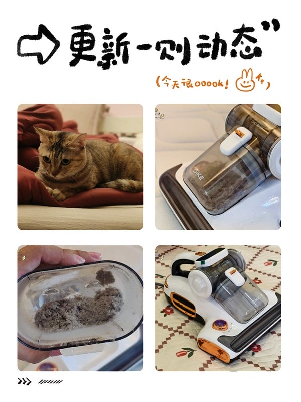 酒窩小姊Sunny開箱DIKE氣旋超聲波智能除蟎機