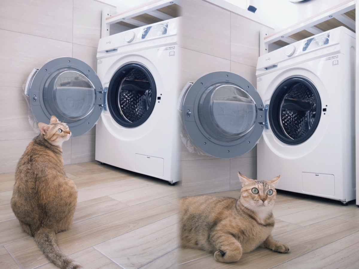 金魚腦救星！不用量洗衣精，早上洗晚上收也不臭不皺｜only 小祈禱 12.5KG 自投洗劑洗脫烘滾筒洗衣機使用分享