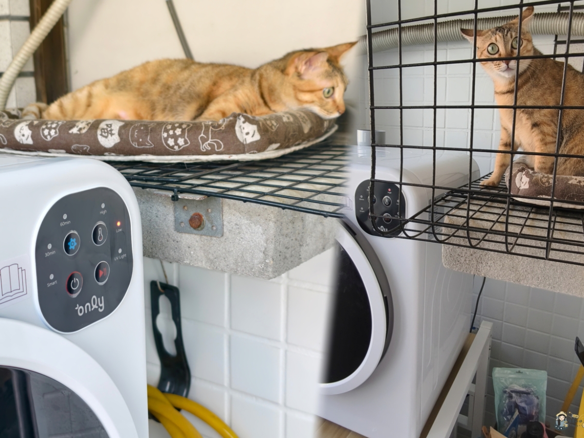 乾衣機開箱｜only 小暖心 7KG 微電腦滅菌防皺乾衣機 使用分享